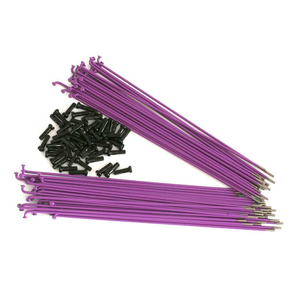 spokes  - purple -
